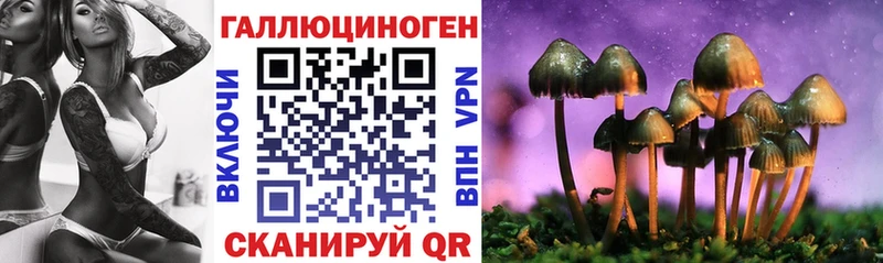 Псилоцибиновые грибы мицелий  Медвежьегорск 