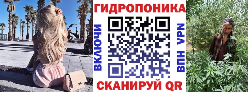 KRAKEN зеркало  Медвежьегорск  Канабис MAZAR 